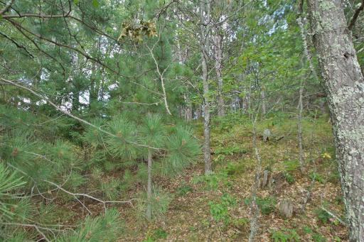 13608 E County Road Y, Gordon, WI 54838