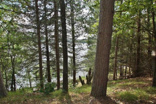 13608 E County Road Y, Gordon, WI 54838