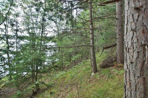 13608 E County Road Y, Gordon, WI 54838
