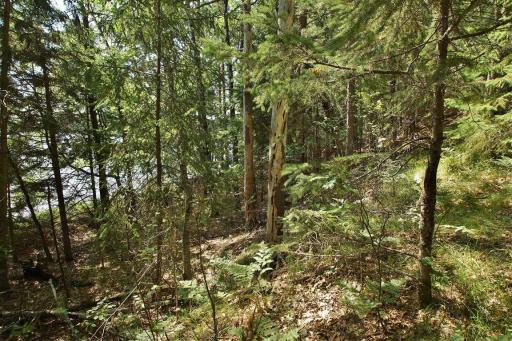 13608 E County Road Y, Gordon, WI 54838