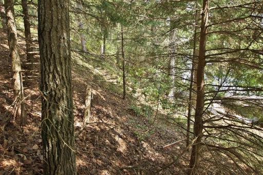 13608 E County Road Y, Gordon, WI 54838