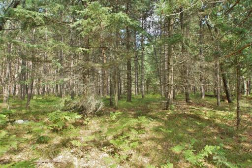 13608 E County Road Y, Gordon, WI 54838