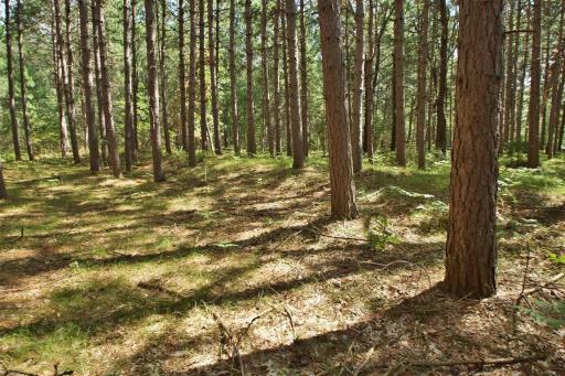 13608 E County Road Y, Gordon, WI 54838