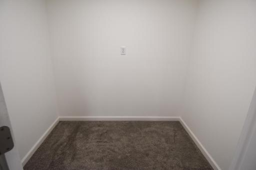 Walk in Basement closet in bedroom
