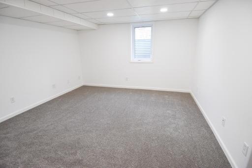 Basement Bedroom