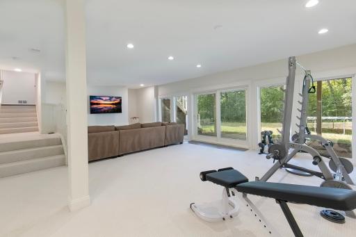 Plenty of space in lower level for a work out room