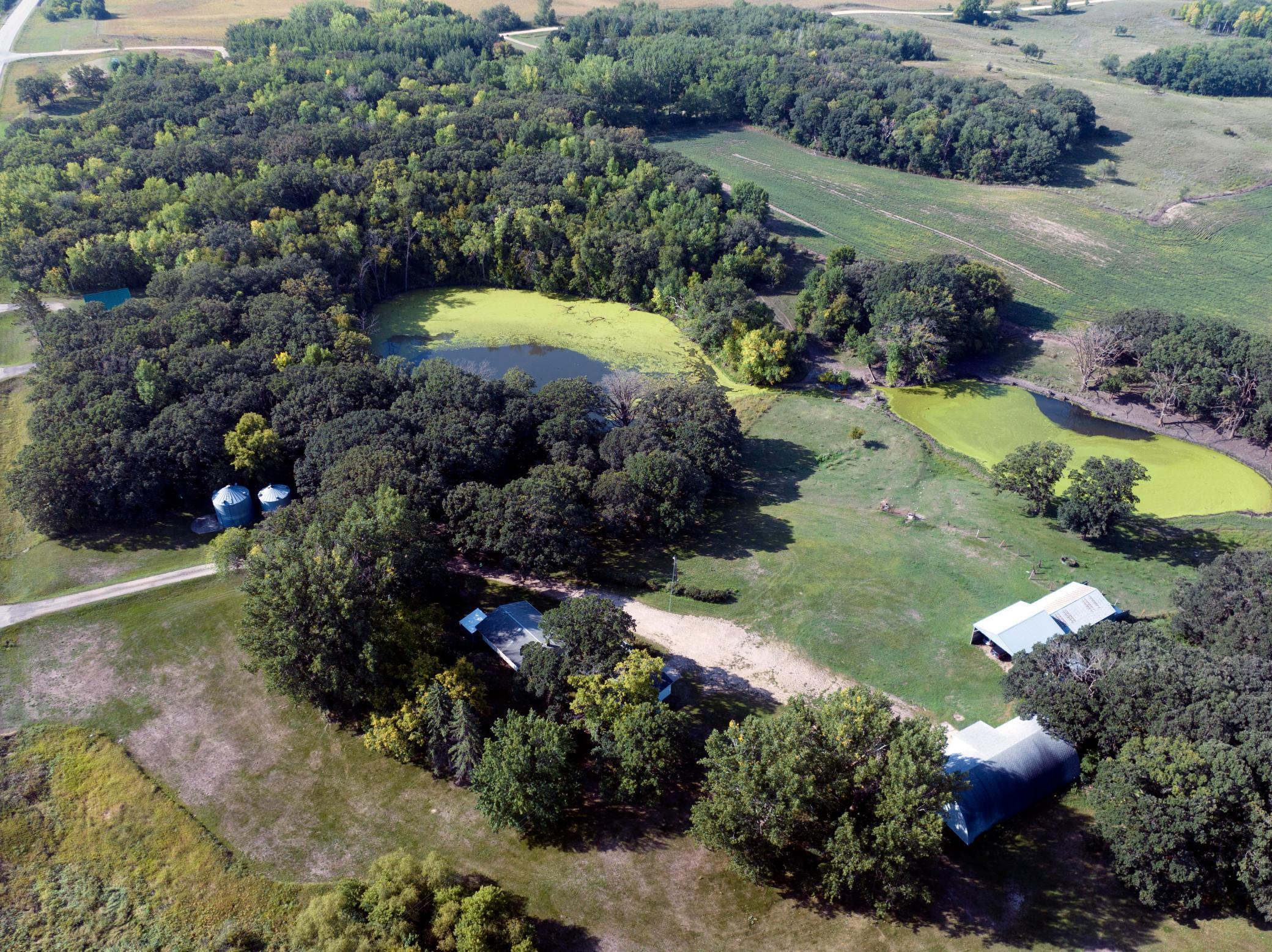 Farmstead