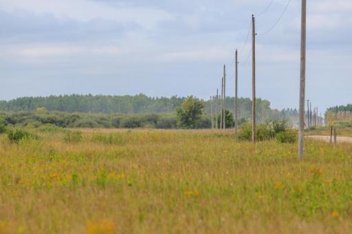 Photo for 16857 County Road 102, Strathcona, MN 56759 - Listing #6427051 16857 County Road 102, Strathcona, MN 56759