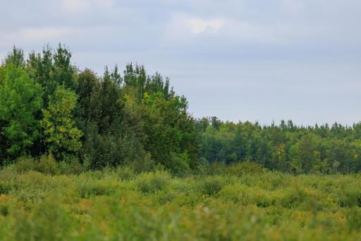 Photo for 16857 County Road 102, Strathcona, MN 56759 - Listing #6427051 16857 County Road 102, Strathcona, MN 56759