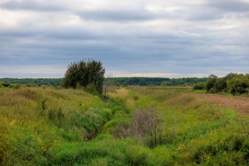 Photo for 16857 County Road 102, Strathcona, MN 56759 - Listing #6427051 16857 County Road 102, Strathcona, MN 56759