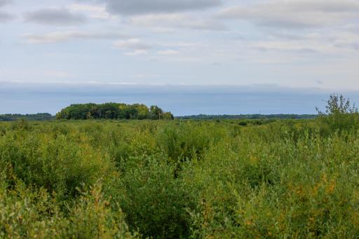 Photo for 16857 County Road 102, Strathcona, MN 56759 - Listing #6427051 16857 County Road 102, Strathcona, MN 56759