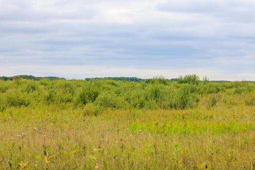 Photo for 16857 County Road 102, Strathcona, MN 56759 - Listing #6427051 16857 County Road 102, Strathcona, MN 56759