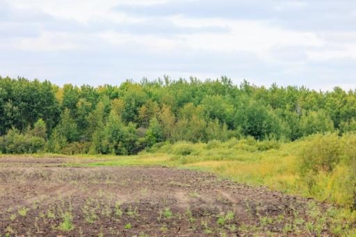 Photo for 16857 County Road 102, Strathcona, MN 56759 - Listing #6427051 16857 County Road 102, Strathcona, MN 56759
