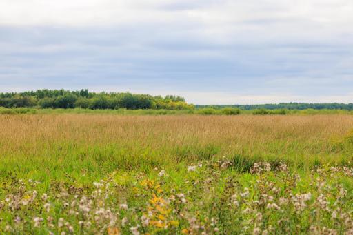 Photo for 16857 County Road 102, Strathcona, MN 56759 - Listing #6427051 16857 County Road 102, Strathcona, MN 56759