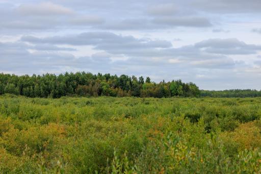 Photo for 16857 County Road 102, Strathcona, MN 56759 - Listing #6427051 16857 County Road 102, Strathcona, MN 56759