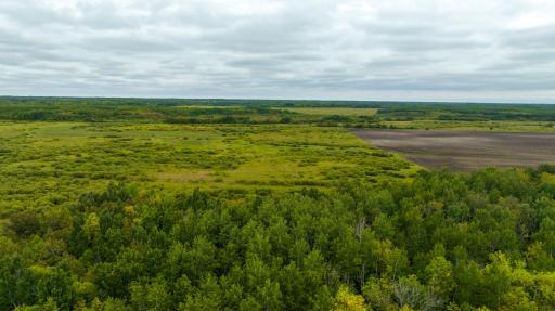 Photo for 16857 County Road 102, Strathcona, MN 56759 - Listing #6427051 16857 County Road 102, Strathcona, MN 56759