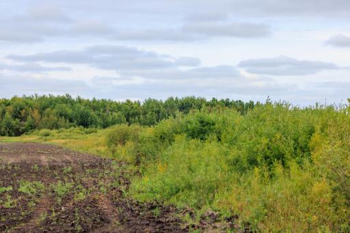 Photo for 16857 County Road 102, Strathcona, MN 56759 - Listing #6427051 16857 County Road 102, Strathcona, MN 56759