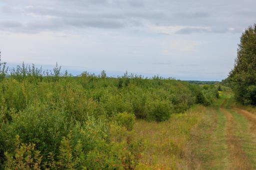 Photo for 16857 County Road 102, Strathcona, MN 56759 - Listing #6427051 16857 County Road 102, Strathcona, MN 56759