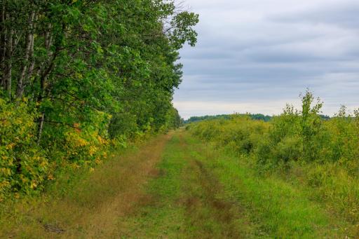 Photo for 16857 County Road 102, Strathcona, MN 56759 - Listing #6427051 16857 County Road 102, Strathcona, MN 56759