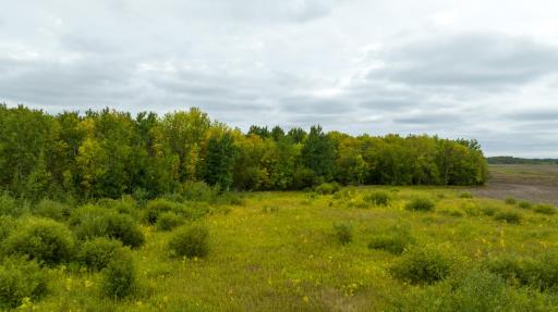 Photo for 16857 County Road 102, Strathcona, MN 56759 - Listing #6427051 16857 County Road 102, Strathcona, MN 56759
