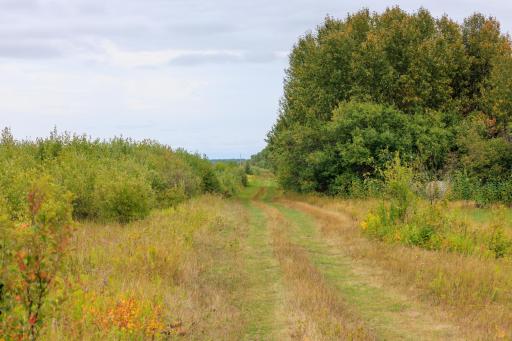 Photo for 16857 County Road 102, Strathcona, MN 56759 - Listing #6427051 16857 County Road 102, Strathcona, MN 56759