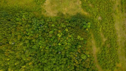 Photo for 16857 County Road 102, Strathcona, MN 56759 - Listing #6427051 16857 County Road 102, Strathcona, MN 56759