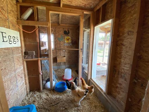chicken coop in barn