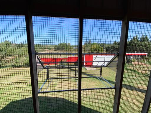 Cage for homing pigeons