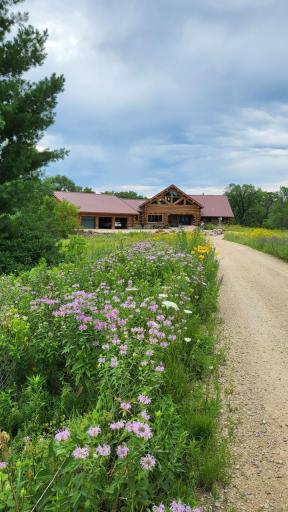 Beautiful in all seasons. Natural prairie flower plantings