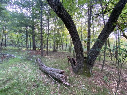 Photo for 13975 S East Mail Road, Gordon, WI 54838 - Listing #6429826 13975 S East Mail Road, Gordon, WI 54838