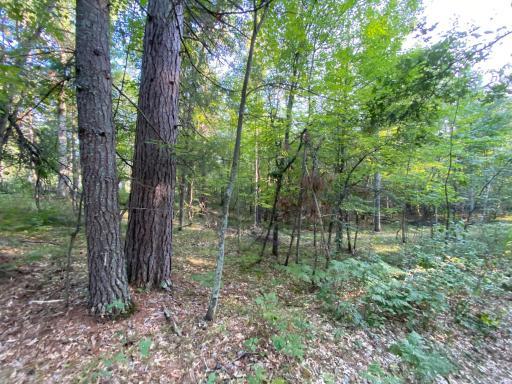Photo for 13975 S East Mail Road, Gordon, WI 54838 - Listing #6429826 13975 S East Mail Road, Gordon, WI 54838