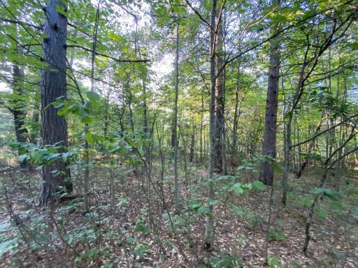 Photo for 13975 S East Mail Road, Gordon, WI 54838 - Listing #6429826 13975 S East Mail Road, Gordon, WI 54838