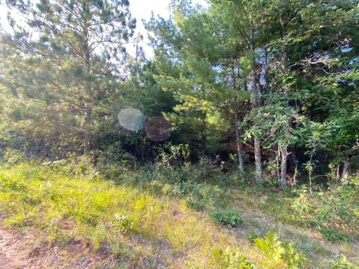 Photo for 13975 S East Mail Road, Gordon, WI 54838 - Listing #6429826 13975 S East Mail Road, Gordon, WI 54838