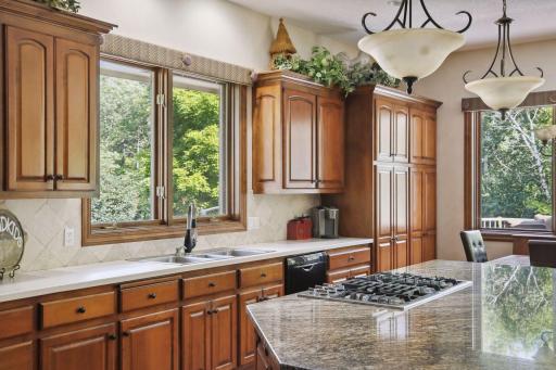 9690 Towering Oaks Curve, Prior Lake, MN 55372
