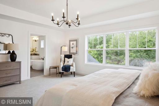 Photo for 6514 Timber Arch Drive, Chaska, MN 55318 - Listing #6431320 6514 Timber Arch Drive, Chaska, MN 55318
