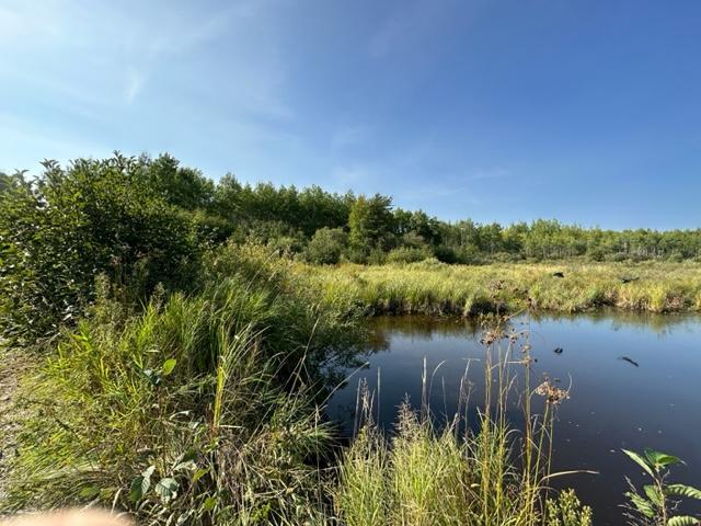 Pond on Property