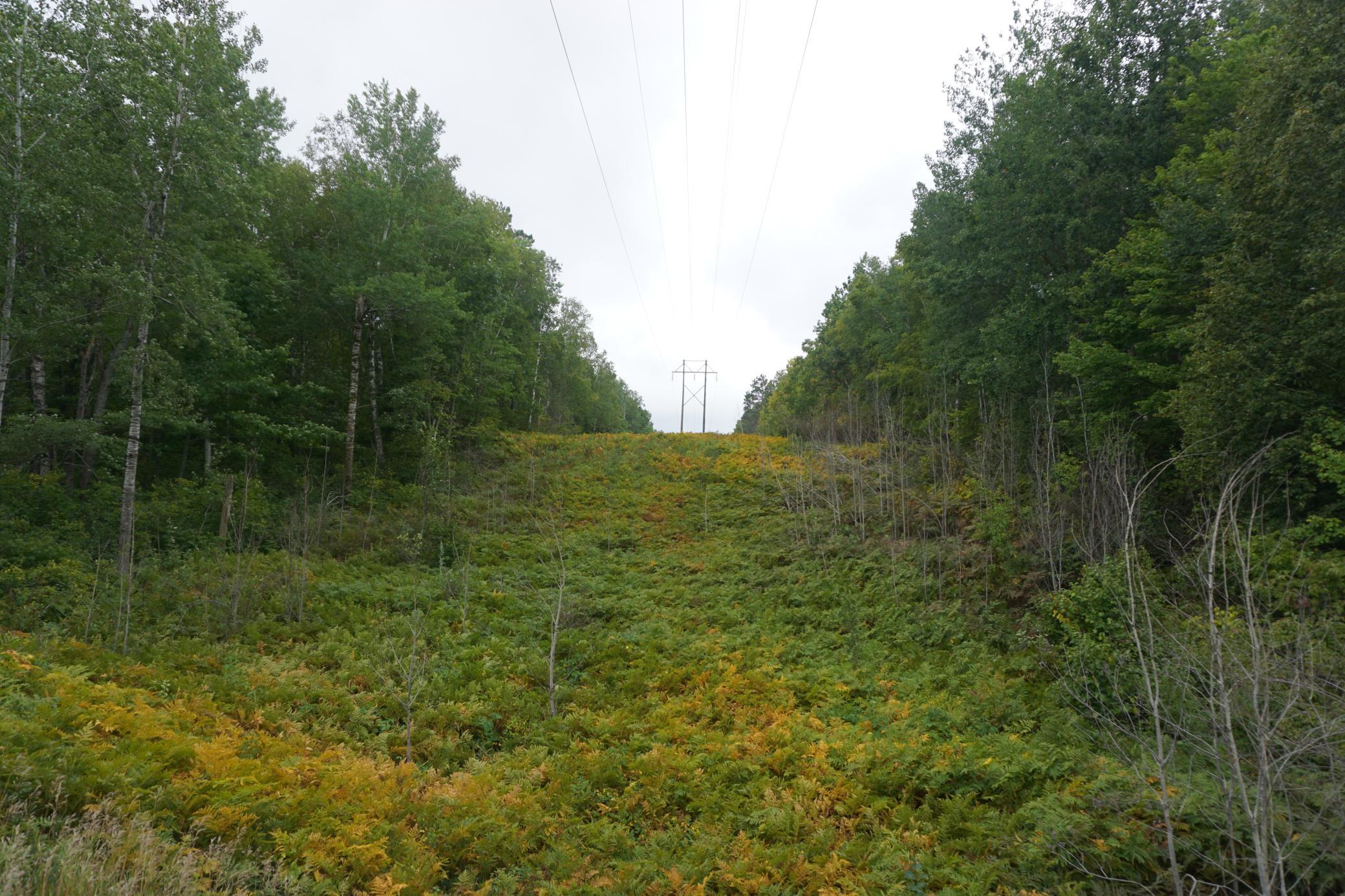 2.4 Acres.JPG