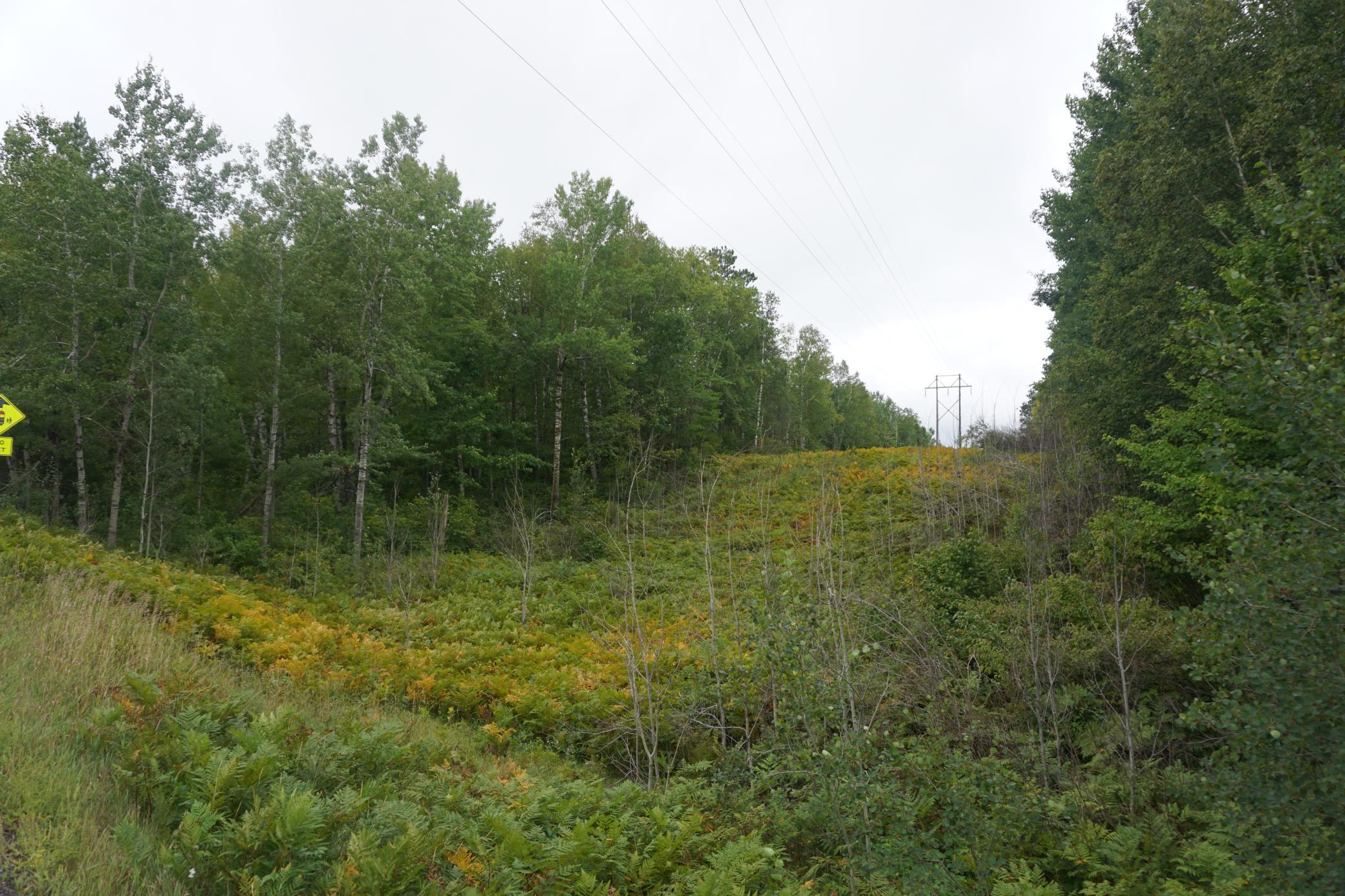 Powerline Thru Property.JPG