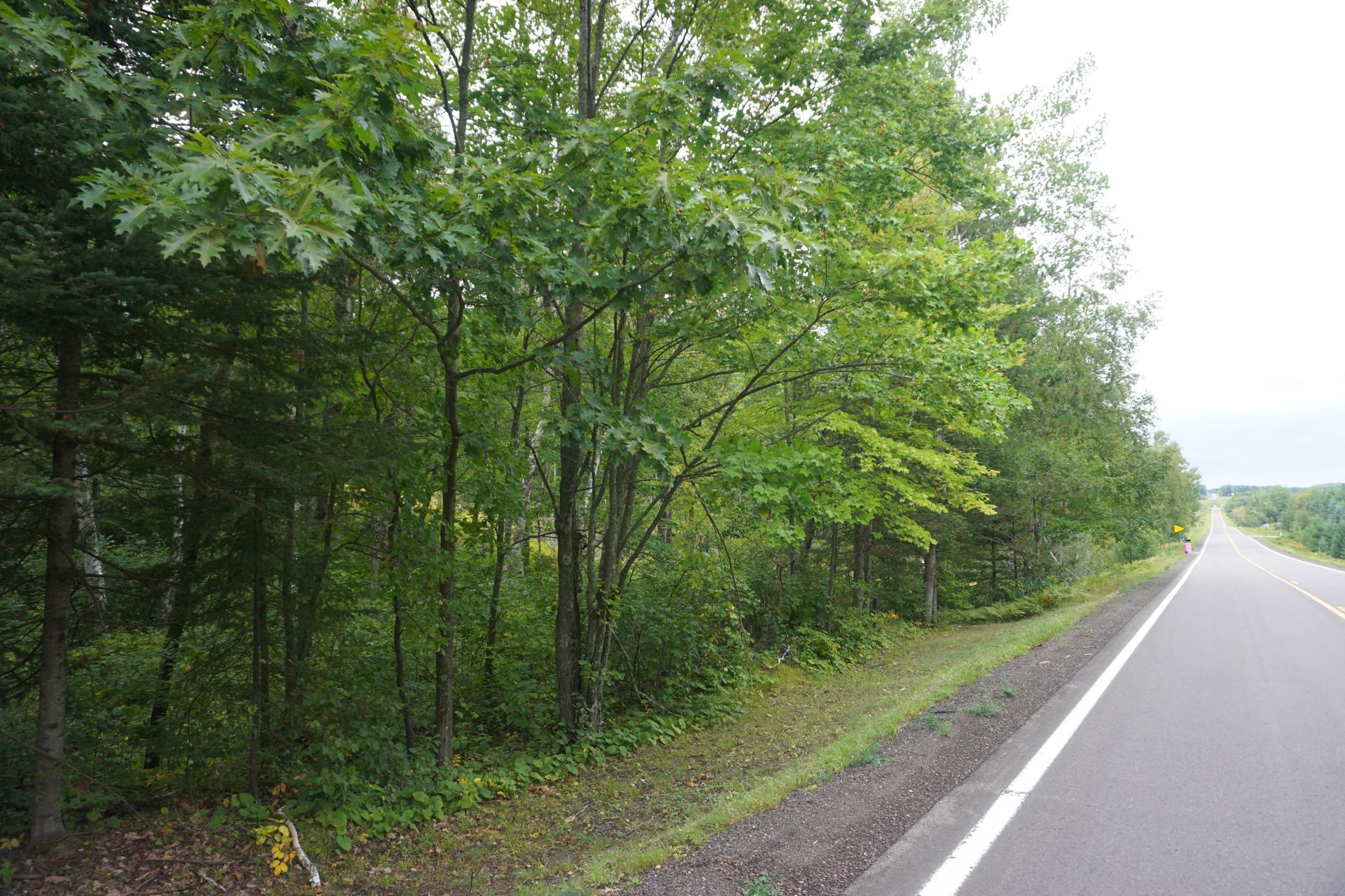 Wooded Part.JPG