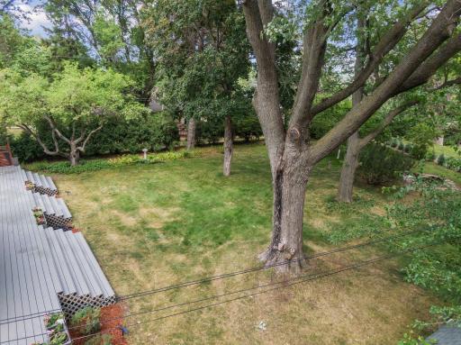 Discover the joys of outdoor living in the expansive backyard.