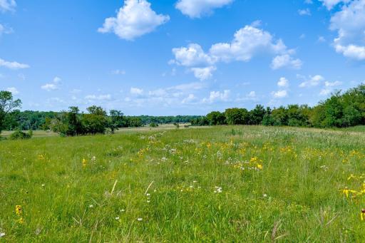 1875 Highsted Drive, Maple Plain, MN 55359