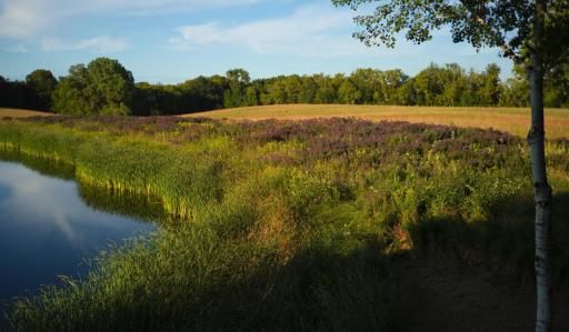 1875 Highsted Drive, Maple Plain, MN 55359