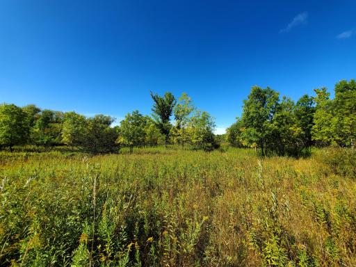 XXX Norman Avenue N, Foley, MN 56329