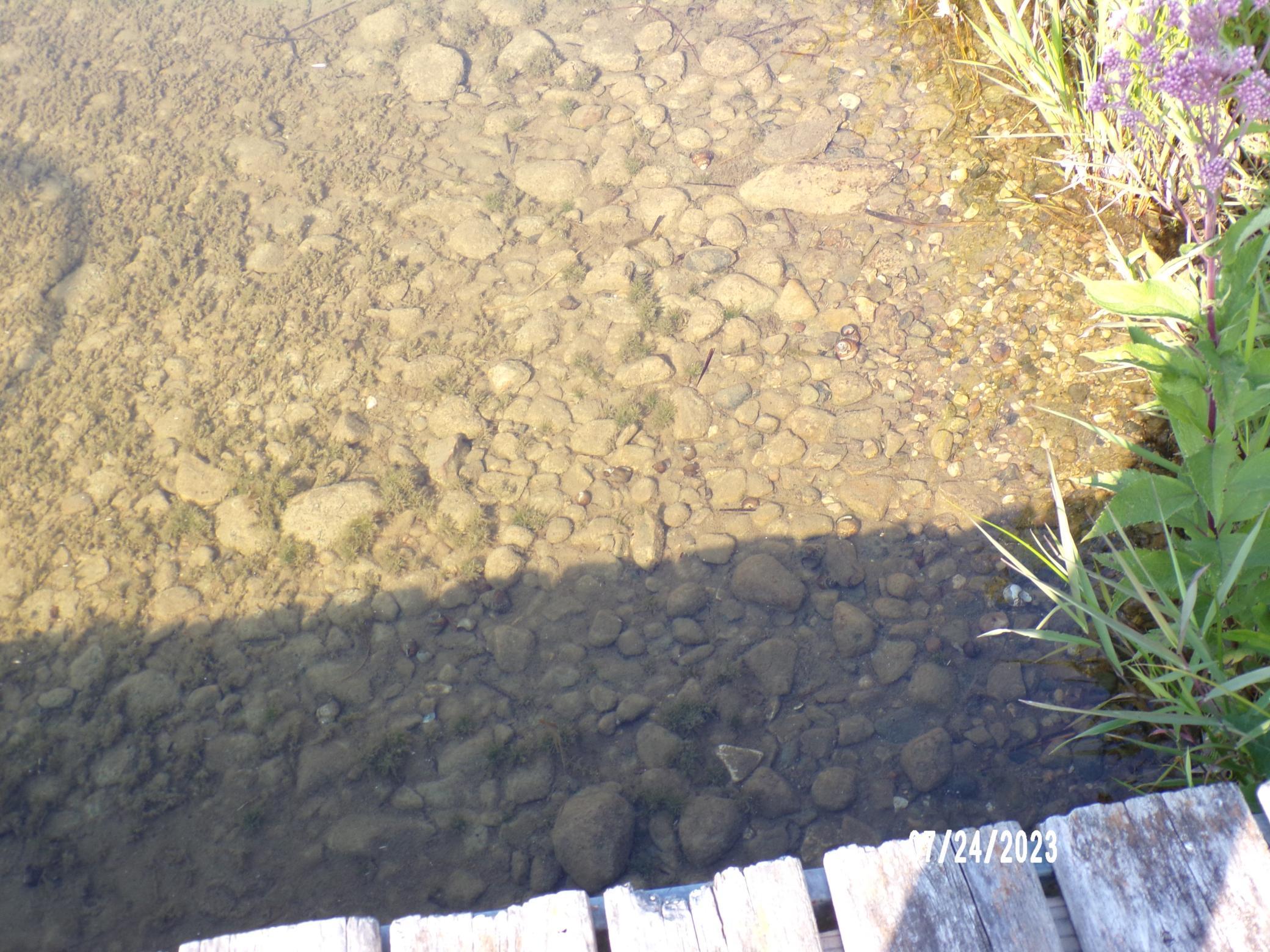 Buffalo Lake 013.JPG