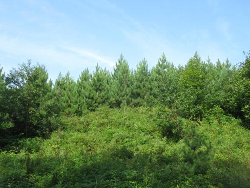 0000 Ole Lake Road, Cable, WI 54821
