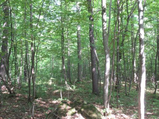 0000 Ole Lake Road, Cable, WI 54821