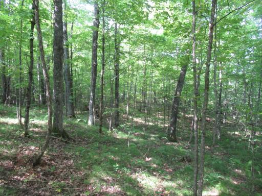 0000 Ole Lake Road, Cable, WI 54821