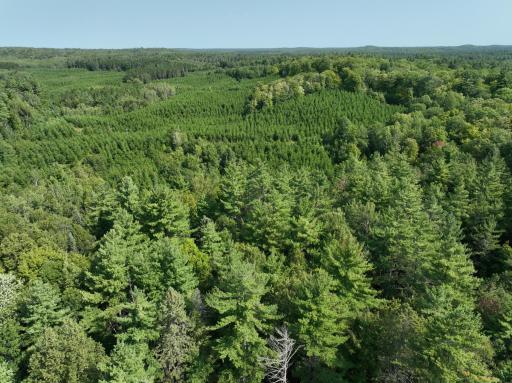0000 Ole Lake Road, Cable, WI 54821