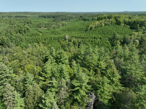 0000 Ole Lake Road, Cable, WI 54821