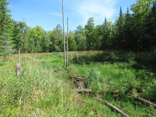 000000000 County Road E, Mason, WI 54856